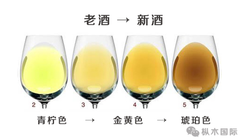 品鑒葡萄酒你姿勢對了嗎 品鑒葡萄酒你姿勢對了嗎