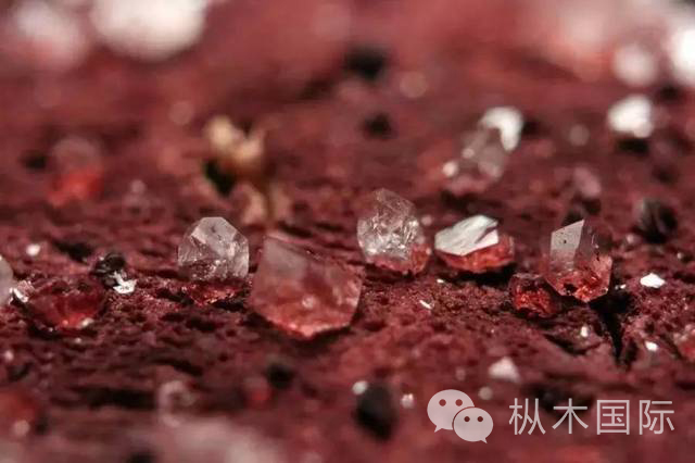 說說紅酒中的沉淀物! 說說紅酒中的沉淀物!