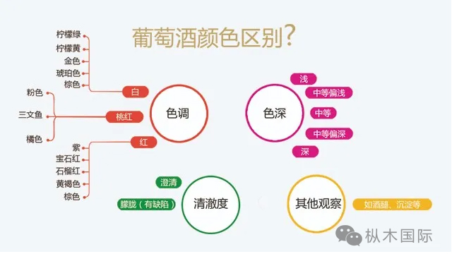 臨沂紅酒加盟 | 紅酒品鑒有哪些姿勢 臨沂紅酒加盟 | 紅酒品鑒有哪些姿勢