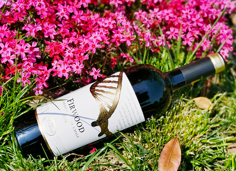 東營紅酒加盟|說說葡萄酒常見的品種有哪些? 東營紅酒加盟|說說葡萄酒常見的品種有哪些?