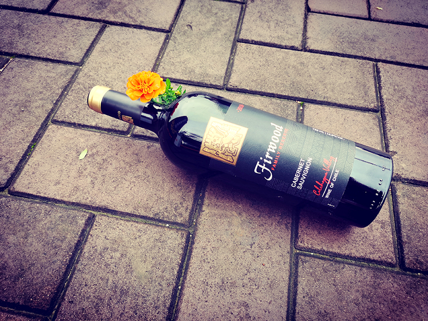 東營紅酒加盟|說說葡萄酒常見的品種有哪些? 東營紅酒加盟|說說葡萄酒常見的品種有哪些?