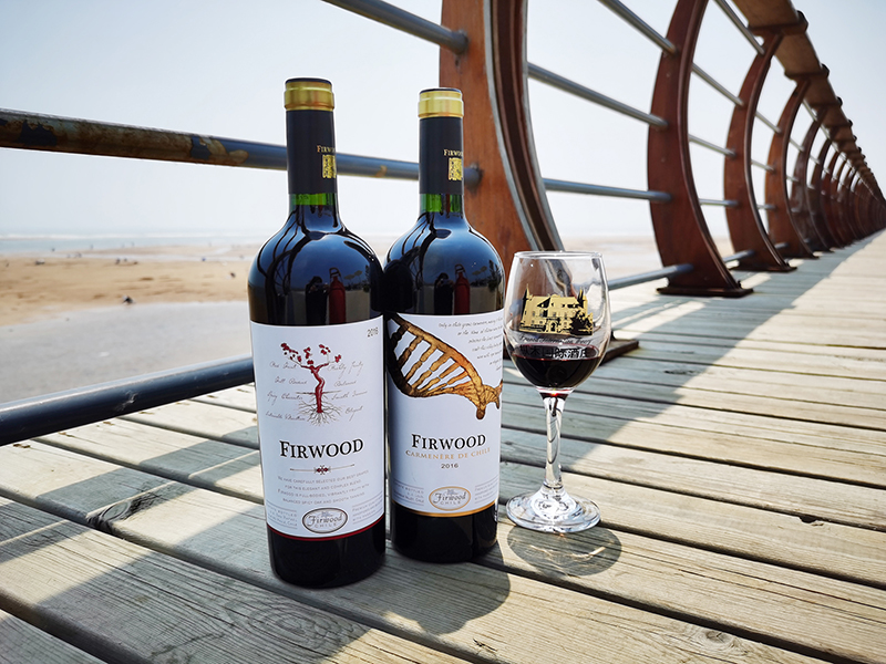 端午節,葡萄酒和粽子的一場美好相遇 端午節,葡萄酒和粽子的一場美好相遇