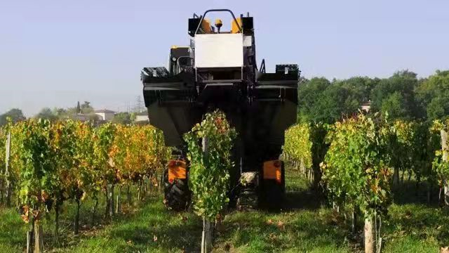 樅木國際酒莊分享 | 60元的紅酒與600元的紅酒區別在哪里 樅木國際酒莊分享 | 60元的紅酒與600元的紅酒區別在哪里