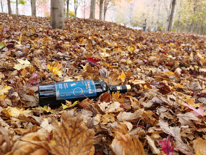 樅木國際酒莊 | 葡萄酒為什么要臥放呢 ? 樅木國際酒莊 | 葡萄酒為什么要臥放呢 ?