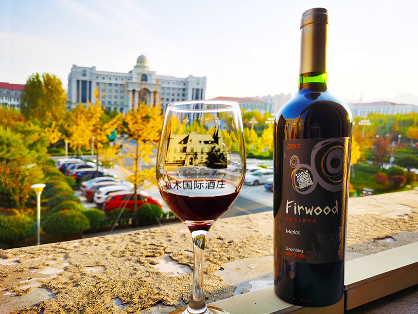 樅木國際酒莊 |  聊聊常見的三大紅葡萄品種 樅木國際酒莊 |  聊聊常見的三大紅葡萄品種