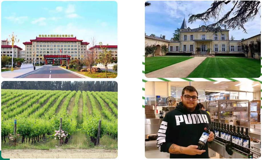 樅木國際葡萄酒學院丨樅木紅酒邀您一起輕松養生 樅木國際葡萄酒學院丨樅木紅酒邀您一起輕松養生