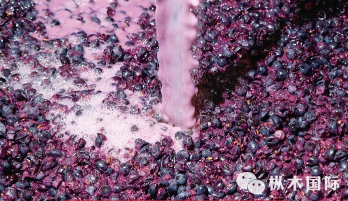 ?  濟寧紅酒代理|葡萄酒的顏色怎么來的? ?  濟寧紅酒代理|葡萄酒的顏色怎么來的?