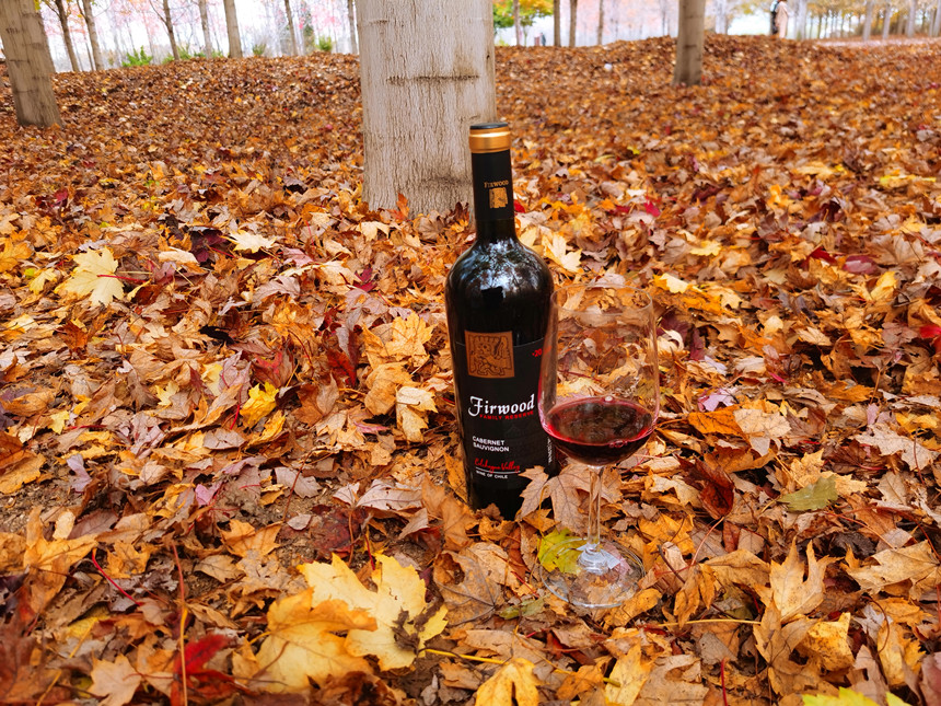 樅木紅酒小課堂 | 葡萄酒瓶越重,酒的品質就越好嗎? 樅木紅酒小課堂 | 葡萄酒瓶越重,酒的品質就越好嗎?