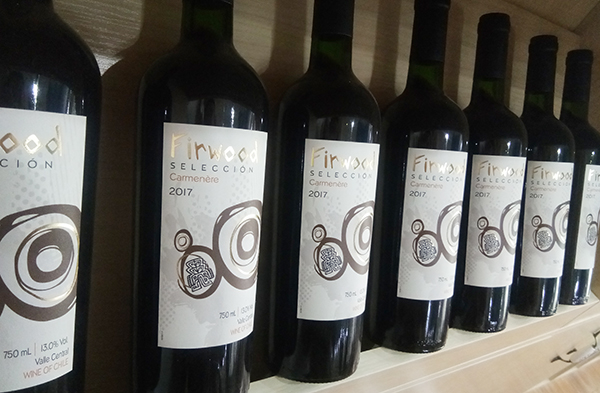 智利國寶“佳美娜”的傳奇故事 智利國寶“佳美娜”的傳奇故事