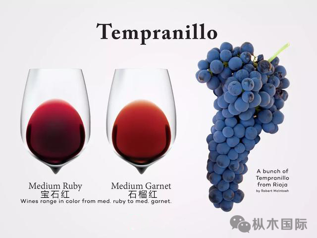 西班牙葡萄之王——丹魄 西班牙葡萄之王——丹魄