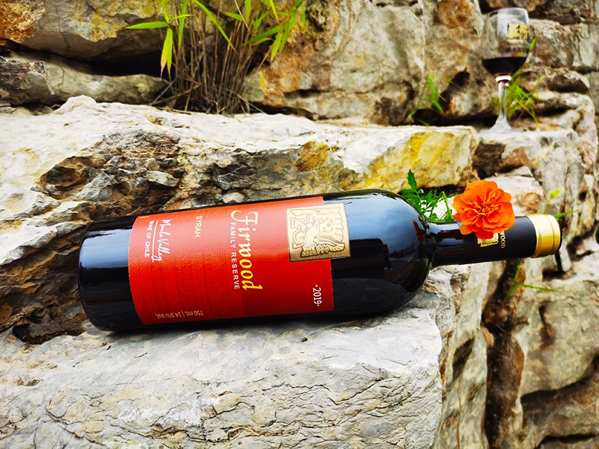 棗莊紅酒招商|紅酒怎么喝才能更有利于身體健康? 棗莊紅酒招商|紅酒怎么喝才能更有利于身體健康?