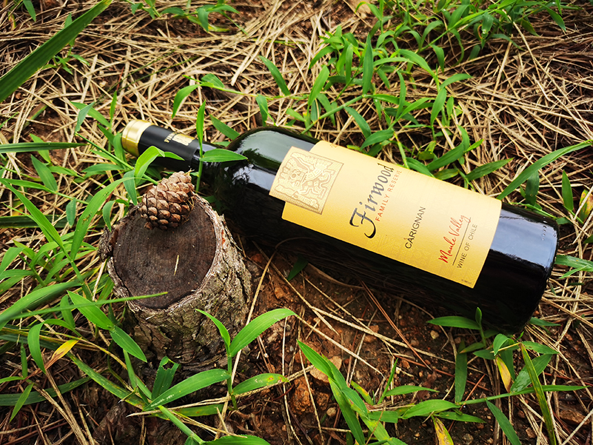 威海紅酒招商|葡萄品種紅顏佳麗——佳麗釀 威海紅酒招商|葡萄品種紅顏佳麗——佳麗釀