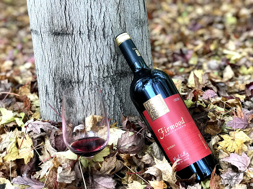 樅木紅酒知識分享 | 常見的六大葡萄品種 樅木紅酒知識分享 | 常見的六大葡萄品種