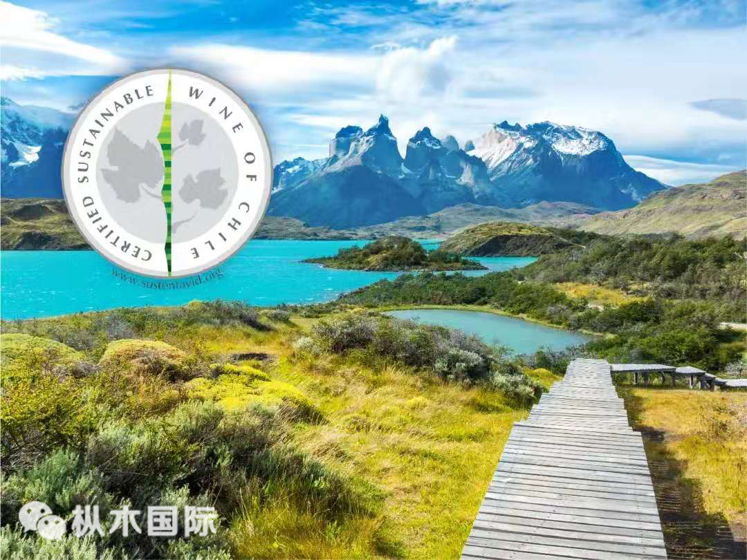 淺談葡萄酒新舊世界區(qū)別 淺談葡萄酒新舊世界區(qū)別