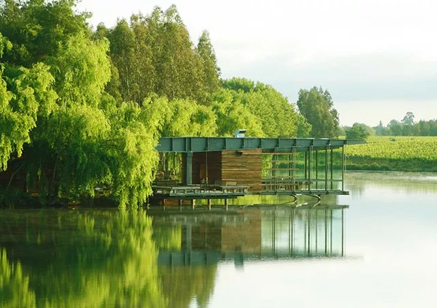 一篇文章讓你讀懂智利葡萄酒 一篇文章讓你讀懂智利葡萄酒