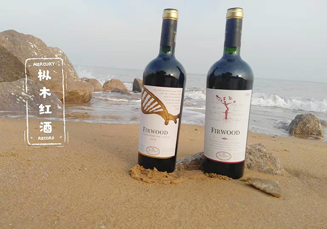 一篇文章讓你讀懂智利葡萄酒 一篇文章讓你讀懂智利葡萄酒