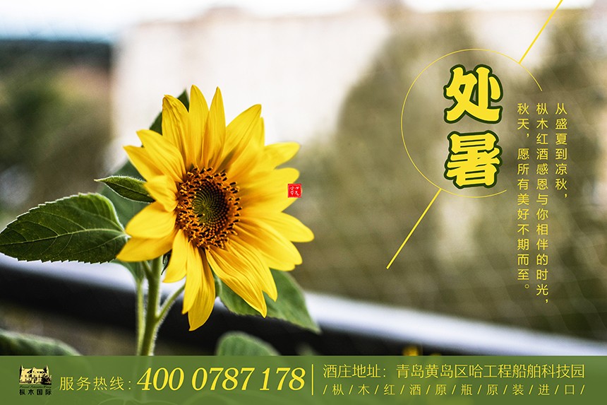 樅木處暑節氣志|處暑谷漸黃,佳釀愈濃香! 樅木處暑節氣志|處暑谷漸黃,佳釀愈濃香!