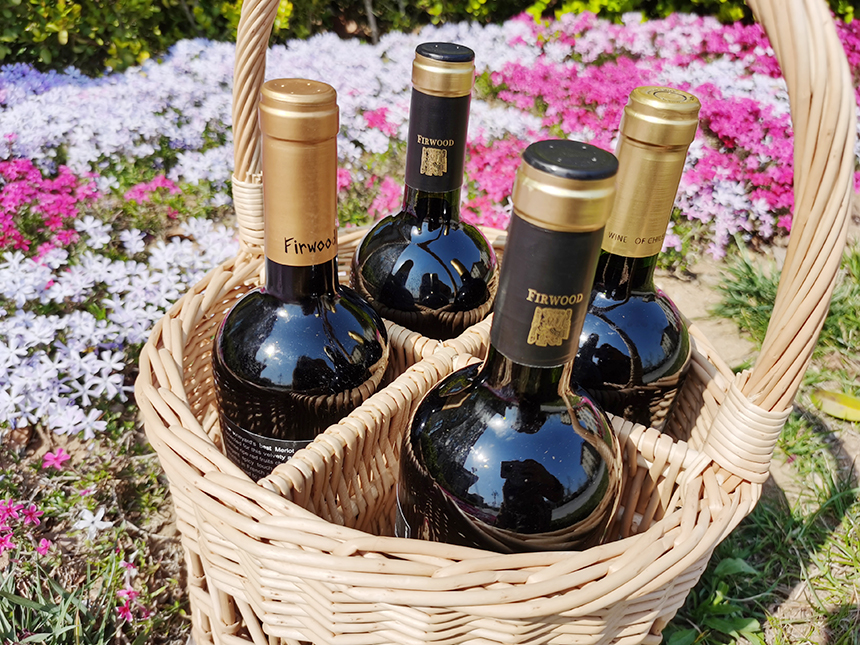 樅木國(guó)際酒莊 | 筑夢(mèng)燈火萬(wàn)家,同慶盛世中華 樅木國(guó)際酒莊 | 筑夢(mèng)燈火萬(wàn)家,同慶盛世中華