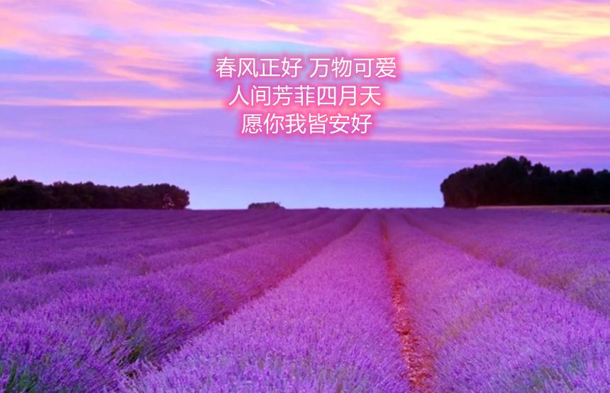 樅木國際酒莊 | 四月,你好!愿人生所向皆是美好 樅木國際酒莊 | 四月,你好!愿人生所向皆是美好