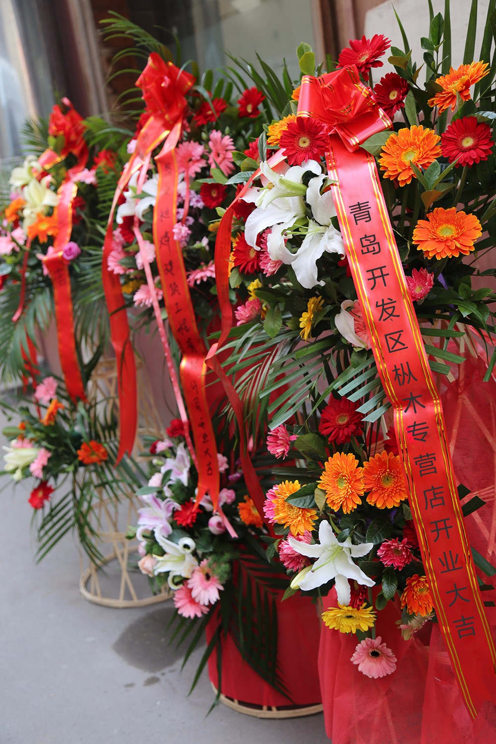 恭祝青島開發區樅木專營店開業大吉! 恭祝青島開發區樅木專營店開業大吉!