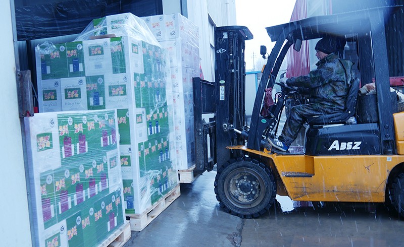 樅木國際智利新品—金日踏雪而來! 樅木國際智利新品—金日踏雪而來!