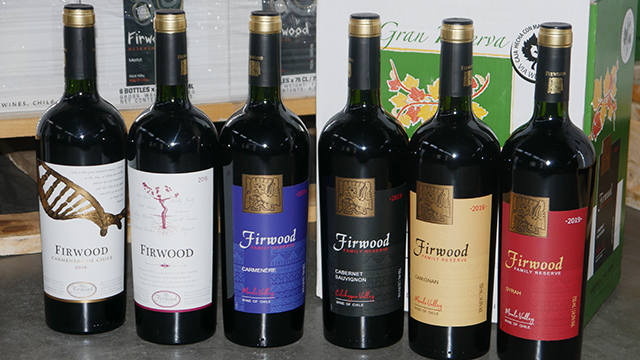 樅木國際智利新品—金日踏雪而來! 樅木國際智利新品—金日踏雪而來!