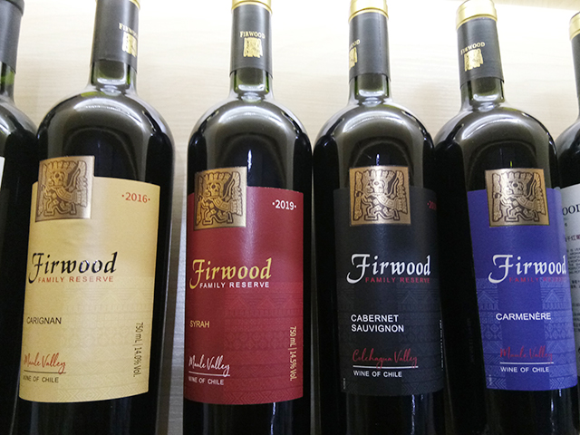 樅木國際智利新品—金日踏雪而來! 樅木國際智利新品—金日踏雪而來!