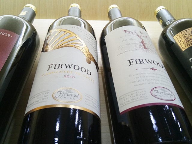 樅木國際智利新品—金日踏雪而來! 樅木國際智利新品—金日踏雪而來!