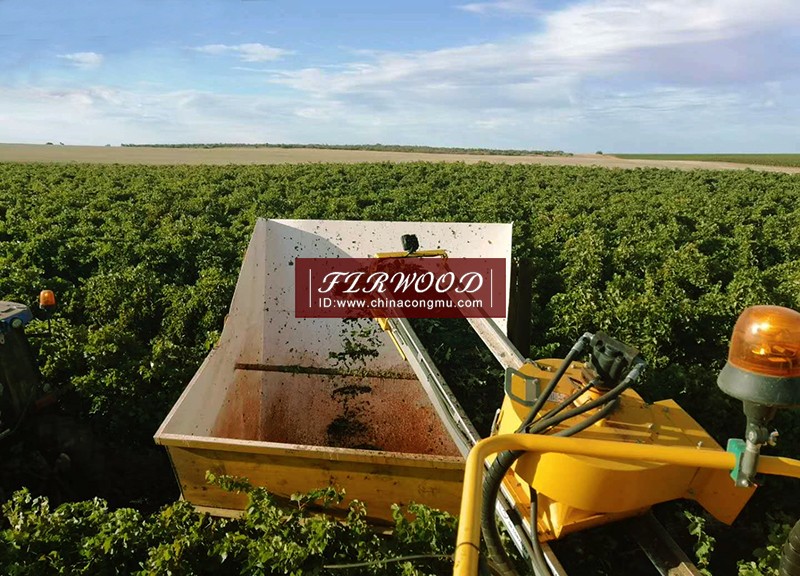春分 | 草長鶯飛一切美好接踵而來! 春分 | 草長鶯飛一切美好接踵而來!