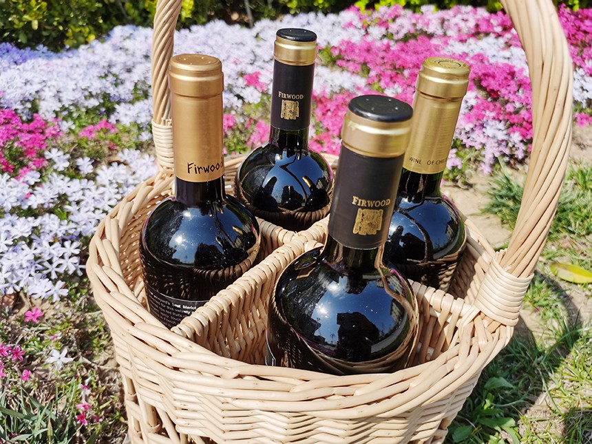 紅酒加盟需要多久能回本樅木紅酒為您解答 紅酒加盟需要多久能回本樅木紅酒為您解答