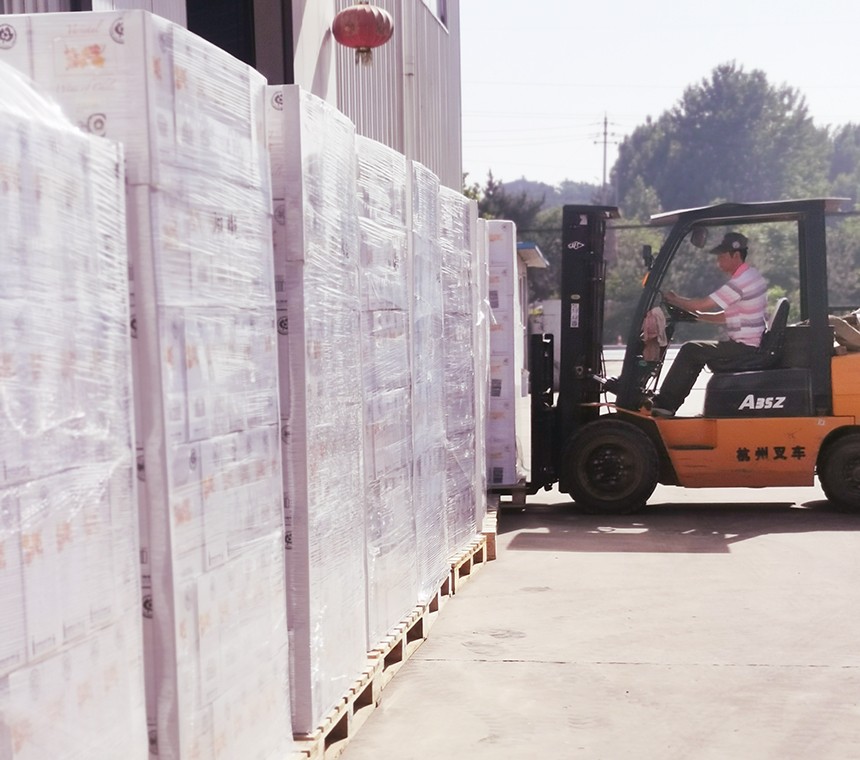 煙臺紅酒加盟|特大喜訊:樅木智利新品今日到貨啦! 煙臺紅酒加盟|特大喜訊:樅木智利新品今日到貨啦!