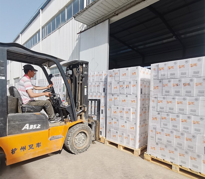 煙臺紅酒加盟|特大喜訊:樅木智利新品今日到貨啦! 煙臺紅酒加盟|特大喜訊:樅木智利新品今日到貨啦!