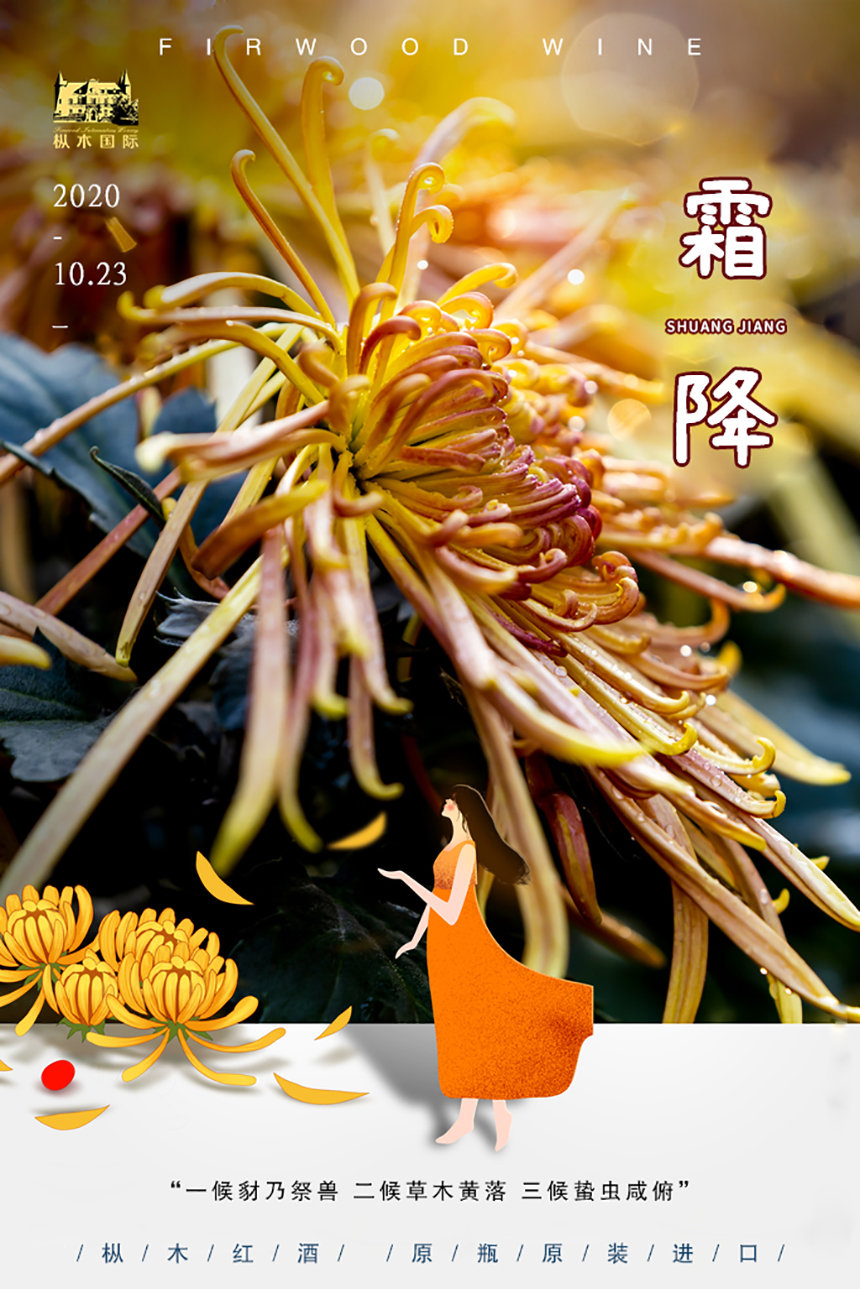 樅木霜降節(jié)氣志 | 一朝秋暮露成霜,濃情一杯冷意皆退! 樅木霜降節(jié)氣志 | 一朝秋暮露成霜,濃情一杯冷意皆退!