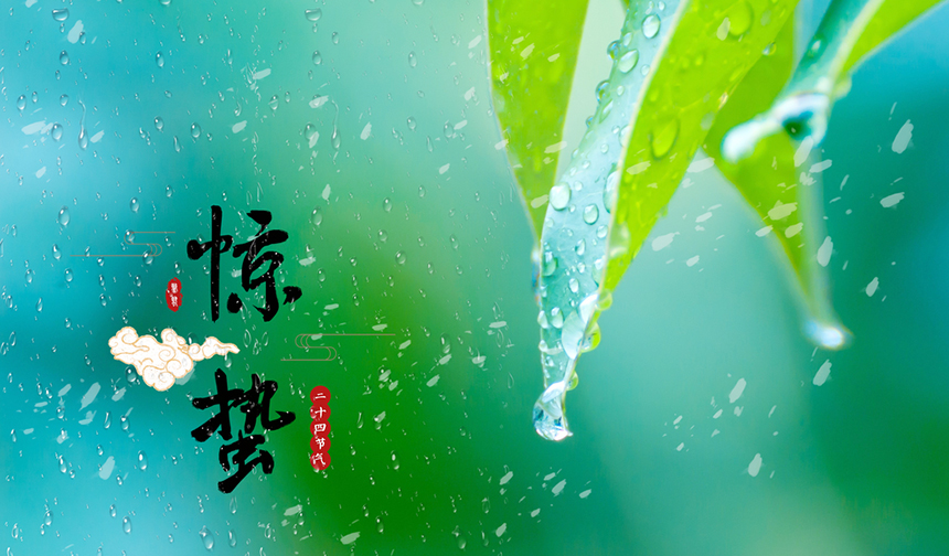 樅木驚蟄節氣志|碰一碰不散的酒杯,共赴春天的約會! 樅木驚蟄節氣志|碰一碰不散的酒杯,共赴春天的約會!