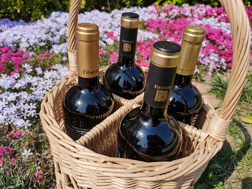 樅木谷雨節氣志|谷雨時節,美好希望正蔥蘢 樅木谷雨節氣志|谷雨時節,美好希望正蔥蘢