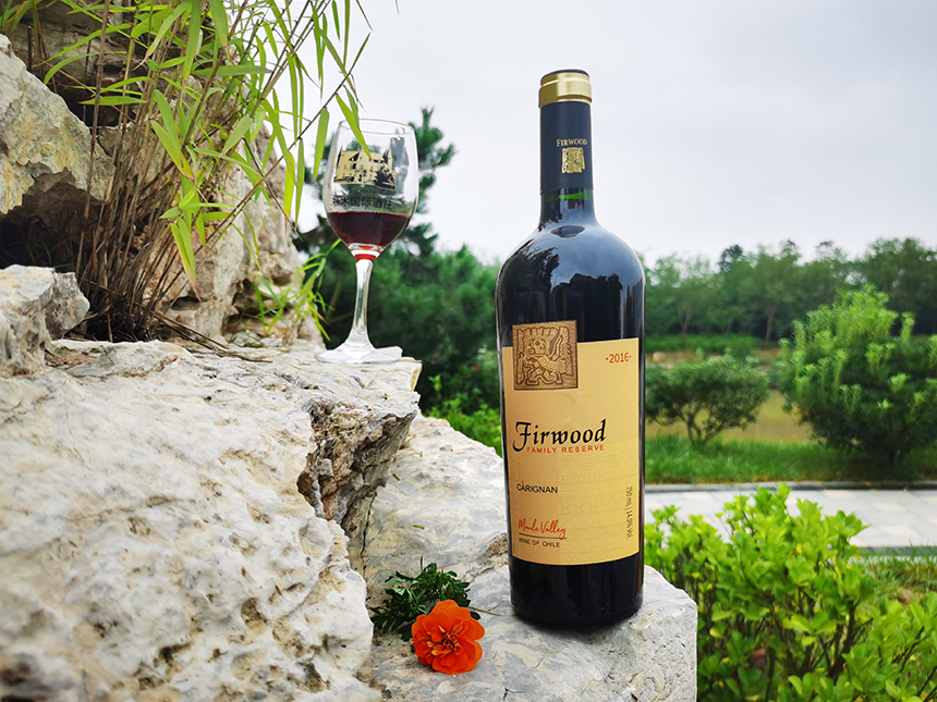 樅木立夏節氣志|你好!夏天 樅木立夏節氣志|你好!夏天