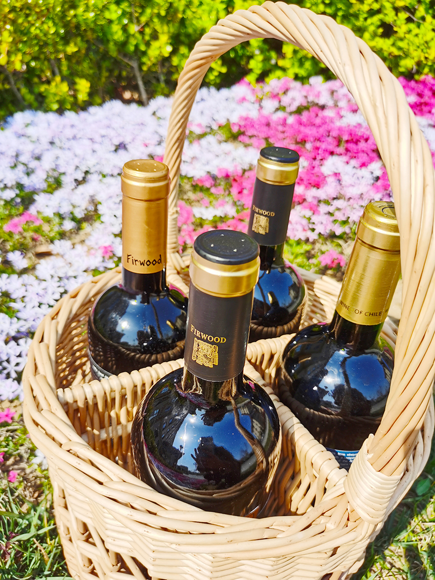 母親節|愛的禮物,祝愿所有媽媽節日快樂!? 母親節|愛的禮物,祝愿所有媽媽節日快樂!?