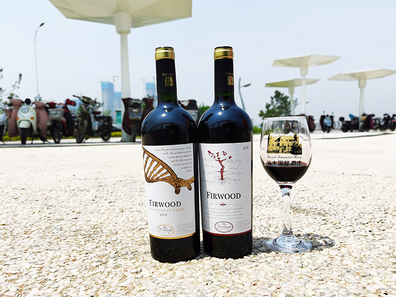 樅木夏至節氣志| 愿世間美好與你恰逢其時? 樅木夏至節氣志| 愿世間美好與你恰逢其時?