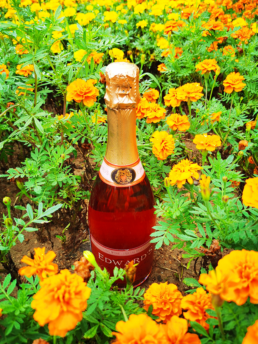 樅木大暑節(jié)氣志 | 盛夏光年,萬(wàn)物正榮華 樅木大暑節(jié)氣志 | 盛夏光年,萬(wàn)物正榮華