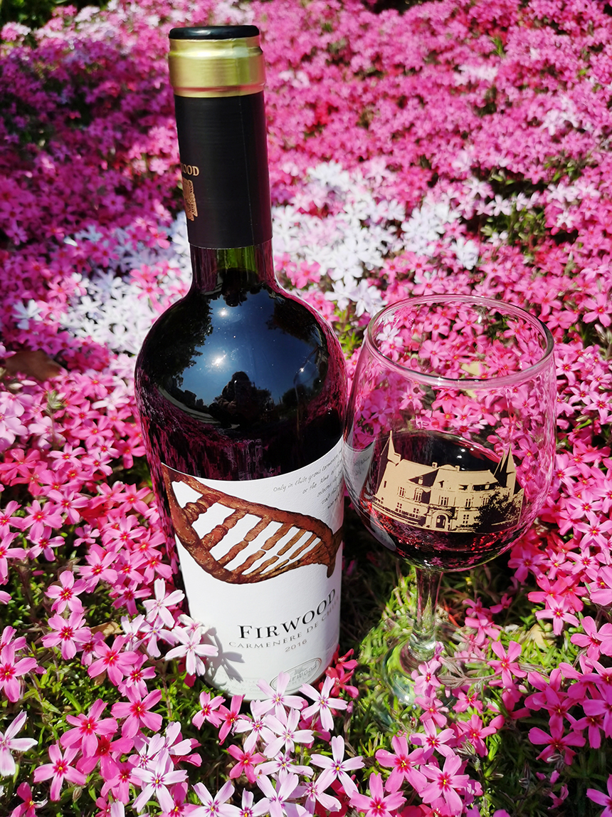 樅木國(guó)際酒莊 | 把酒遙相祝,愿你享團(tuán)圓 樅木國(guó)際酒莊 | 把酒遙相祝,愿你享團(tuán)圓