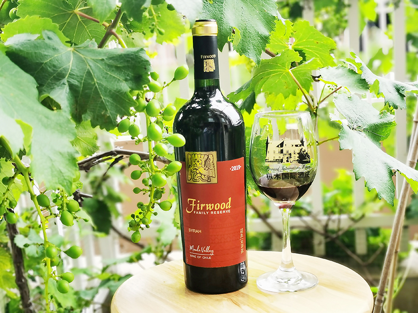 樅木寒露節氣志 |? 心懷溫暖,勇敢向前 樅木寒露節氣志 |? 心懷溫暖,勇敢向前