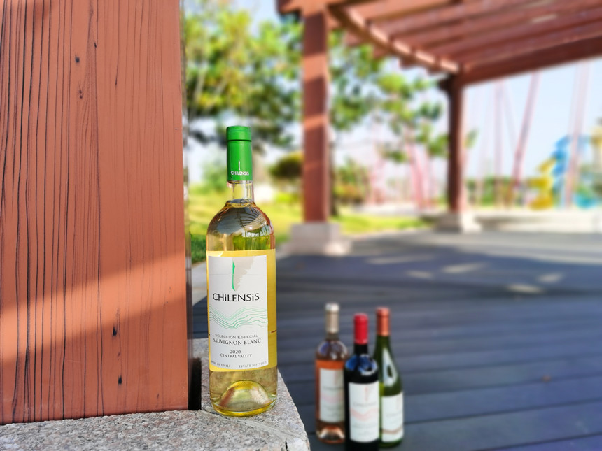 樅木小雪節氣志 | 愿歲月靜好,初心如雪 樅木小雪節氣志 | 愿歲月靜好,初心如雪