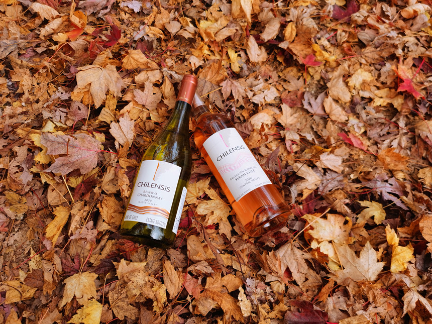 樅木小雪節氣志 | 愿歲月靜好,初心如雪 樅木小雪節氣志 | 愿歲月靜好,初心如雪