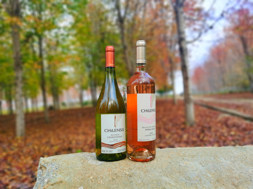 樅木大雪節氣志 | 愿迎風而歌,踏雪而行 樅木大雪節氣志 | 愿迎風而歌,踏雪而行