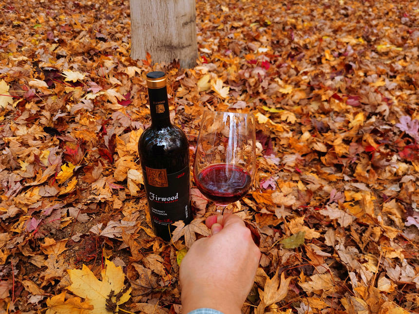 樅木冬至節(jié)氣志 | 愿美好如約而至 樅木冬至節(jié)氣志 | 愿美好如約而至