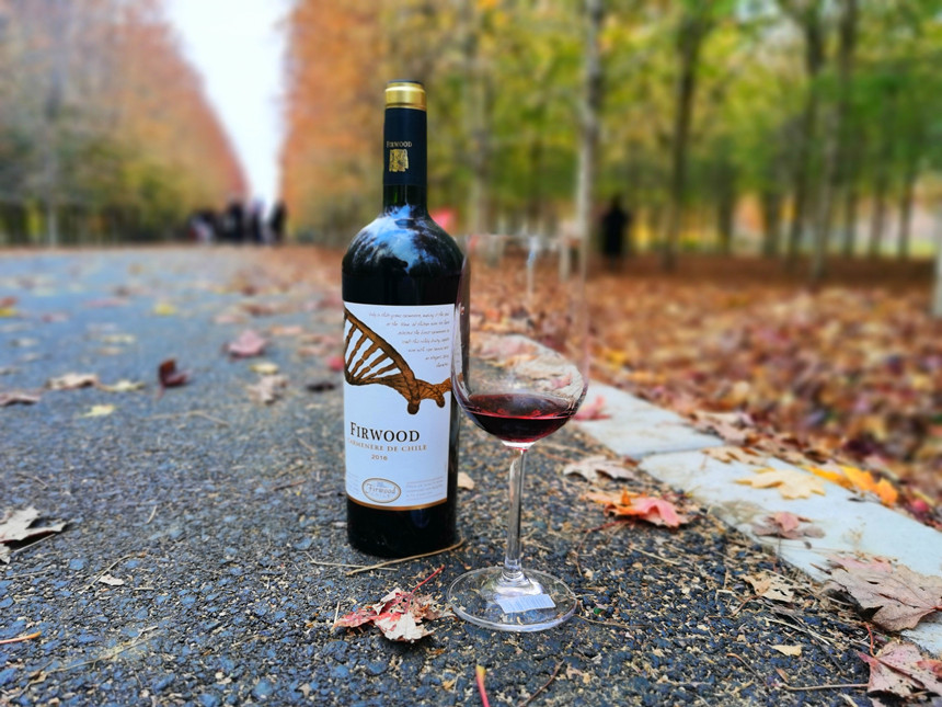 樅木小寒節(jié)氣志 | 愿你幸福吉祥 樅木小寒節(jié)氣志 | 愿你幸福吉祥