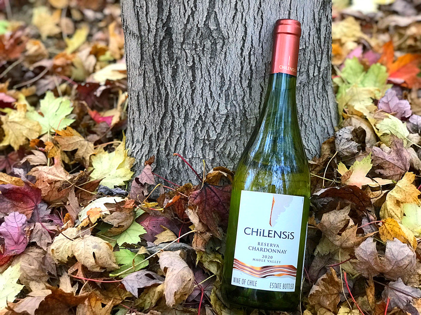 樅木大寒節氣志 | 愿一切美好都將如約而至 樅木大寒節氣志 | 愿一切美好都將如約而至