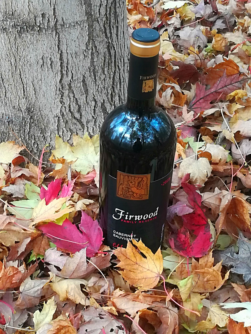 樅木大寒節氣志 | 愿一切美好都將如約而至 樅木大寒節氣志 | 愿一切美好都將如約而至