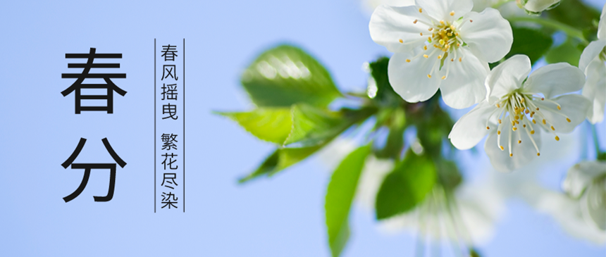 樅木春分節(jié)氣志 | 愿歲月靜好,世間美好終會(huì)與你相遇 樅木春分節(jié)氣志 | 愿歲月靜好,世間美好終會(huì)與你相遇