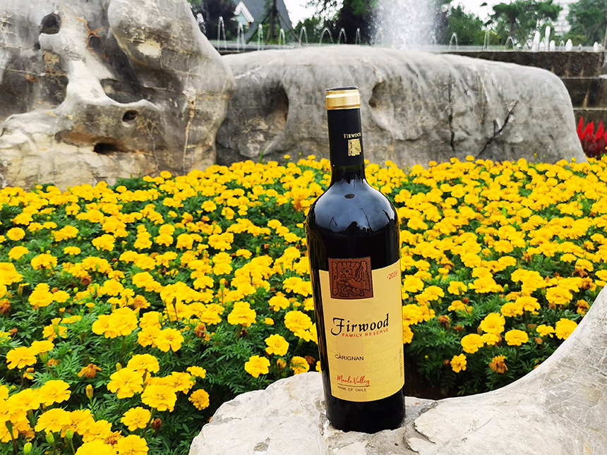 樅木處暑節氣志 | 暑去又一秋,珍待此時心 樅木處暑節氣志 | 暑去又一秋,珍待此時心